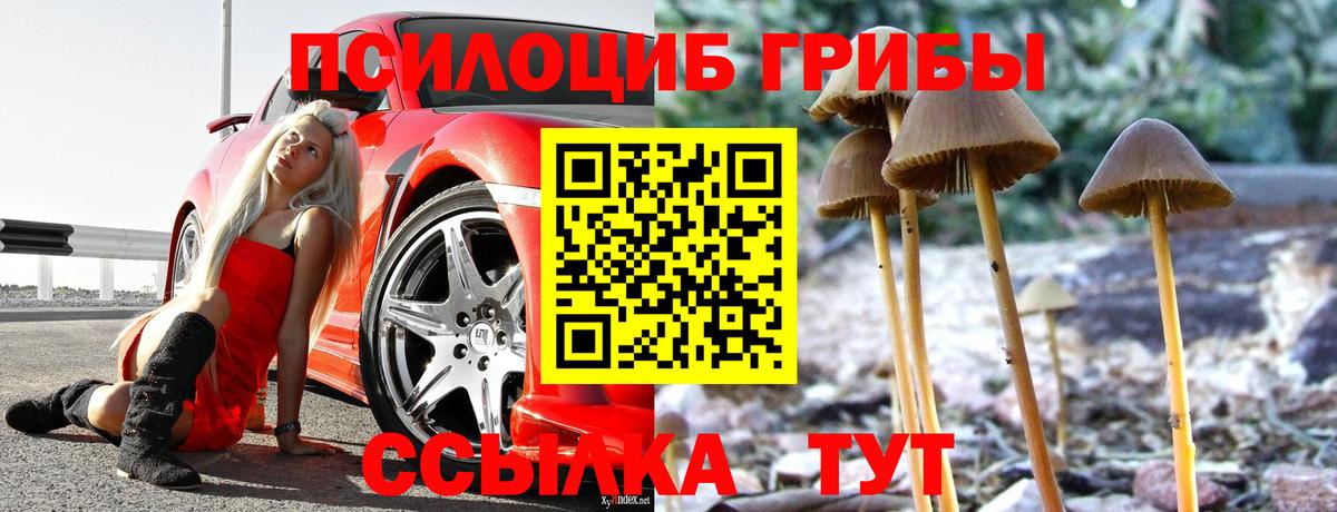 Псилоцибиновые грибы ЛСД Аша